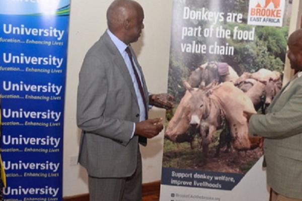 Donkey Project Inaugration Ceremony
