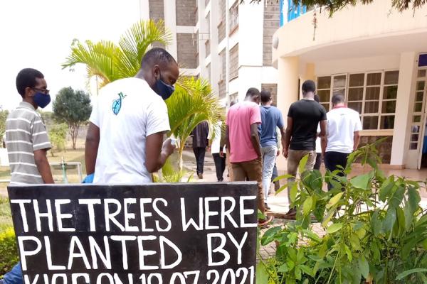 Tree Planting Exercise